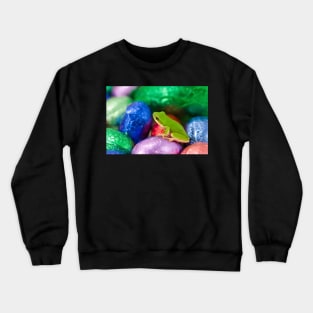 I wanna be a Freddo when I grow up! Crewneck Sweatshirt